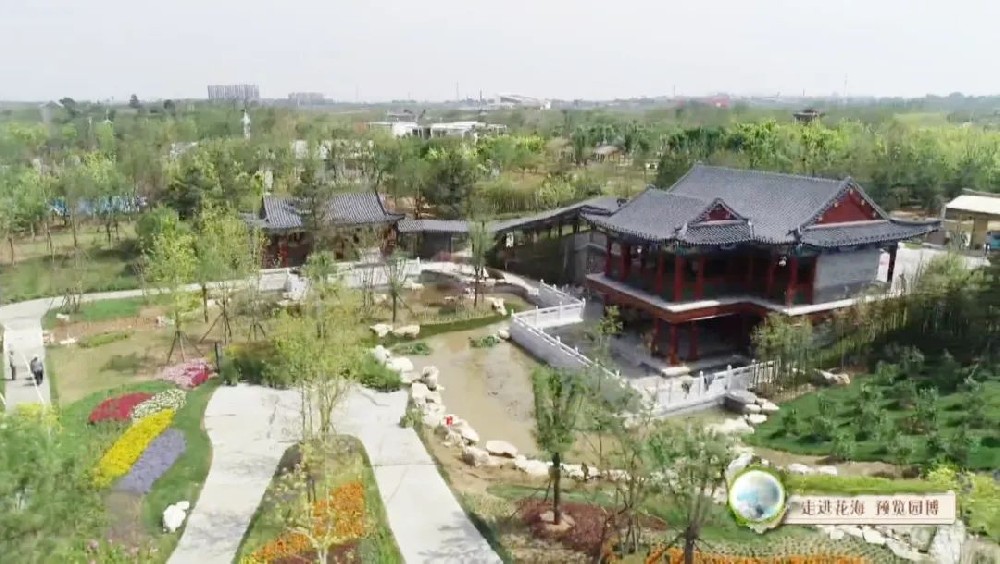 滄州園項目喜獲河北省園博會“造園藝術綜合獎金獎”